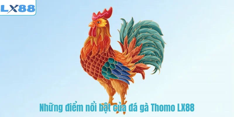 Những điểm nổi bật của đá gà Thomo LX88