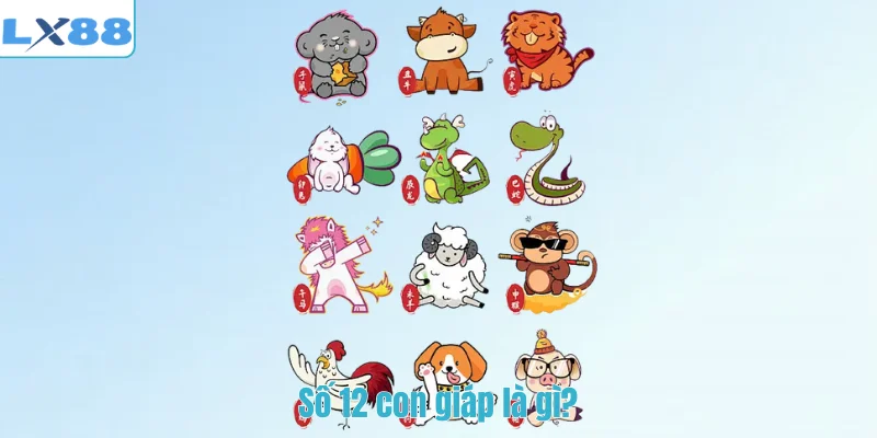 Số 12 con giáp là gì?